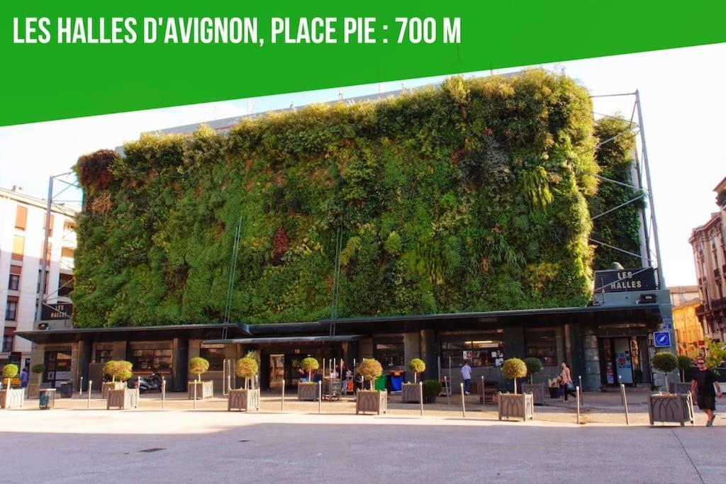 אביניון Aux Marches Du Palais - Ac Clim - Spacieux - Terrasse - Wifi מראה חיצוני תמונה